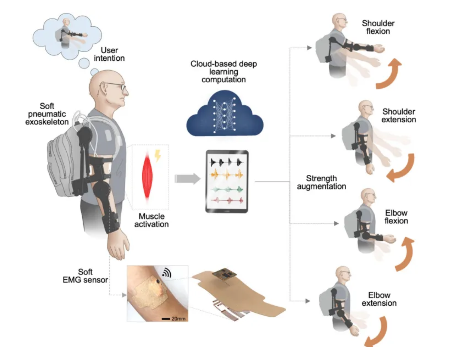 外骨骼“读心术”来了！意念增强肌肉力量，深度学习预测准确率96.2%